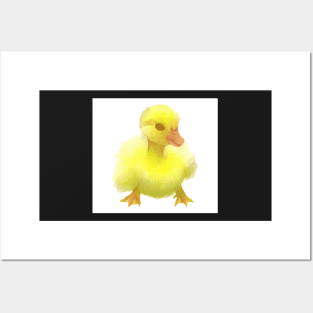 Duckie pin Posters and Art